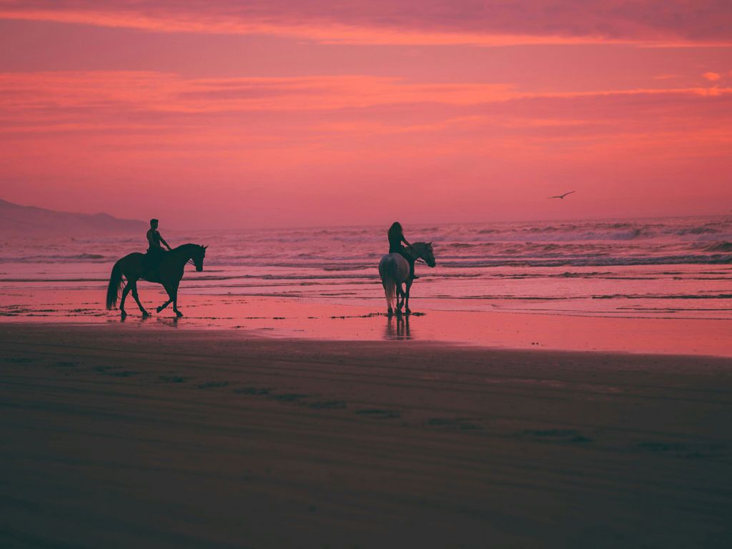 A cavallo